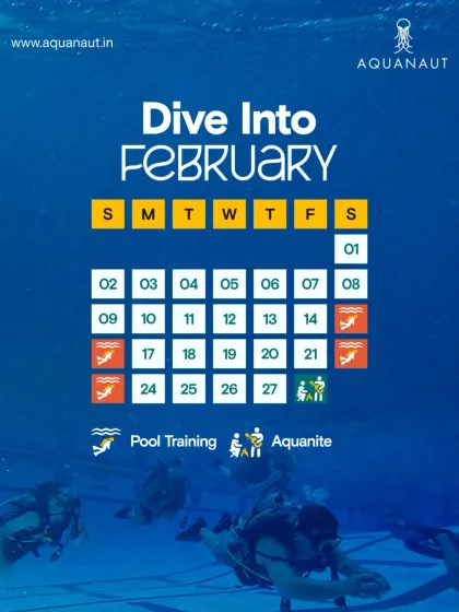 We keep our community updated with a monthly calendar of events, including pool training sessions and our 'Aquanite' diver meetups.