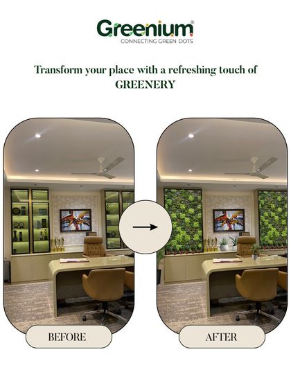 Greenium - Interior Plantscaping & Decor Greening the Workplace photo 3