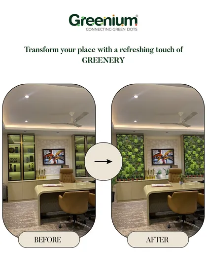 A simple touch of greenery can refresh any space. This before and after shows how we added two vertical garden panels to an office, instantly breaking up the monotony and adding a biophilic design element.
