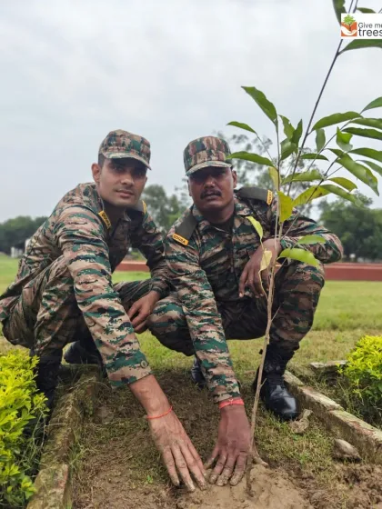 Two soldiers in camouflage carefully plant a tree. Their discipline and dedication are valuable assets in our mission to execute large-scale, successful plantation projects.