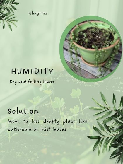 Hygrinz - Garden Maintenance Gardening Know-How: Tips & Techniques photo 44