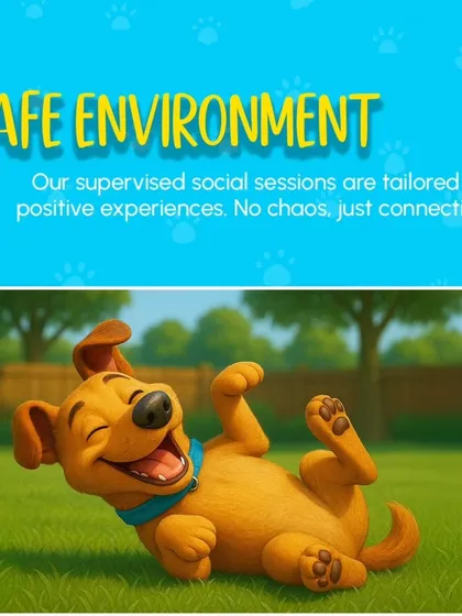 We provide a safe environment for your pet. Our supervised social sessions are designed for positive experiences. No chaos, just connection.