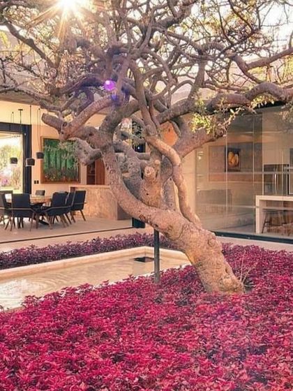 Indoor & Courtyard Gardens photo 13