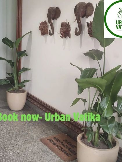 Two Traveller's Palms in elegant planters flanking an entryway, adding a touch of natural sophistication to the home's interior.