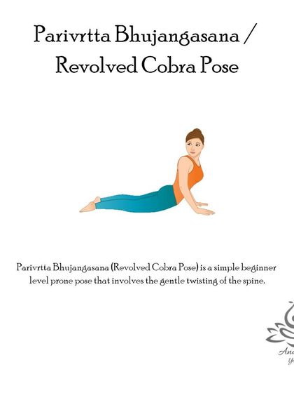 Anagha Yoga - Therapeutic Yoga Yoga Foundations: Asana Library photo 53