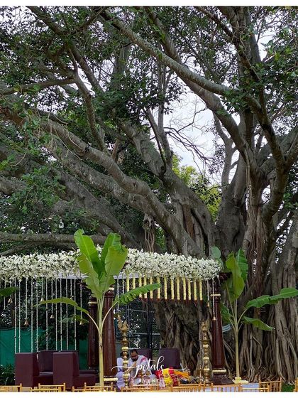 Petals - Wedding Decoration & Styling Timeless South Indian Mandaps photo 15