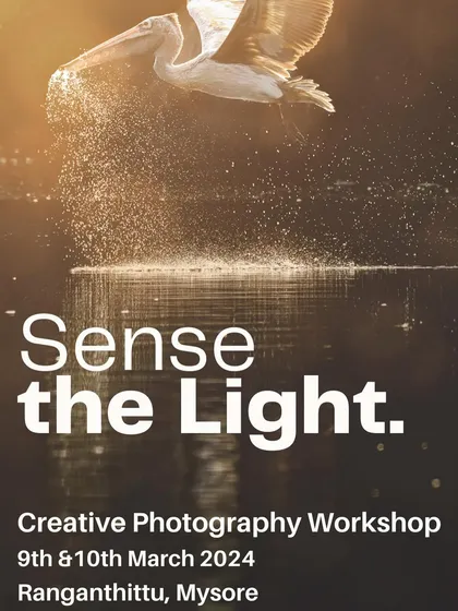My "Sense the Light" workshop is an invitation to join me at Ranganathittu, Mysore. It is an immersive experience designed to elevate your skills, whether you are just starting or feel you have hit a creative wall.