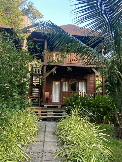 The lush greenery surrounding our resort in the Andamans. It truly feels like a jungle paradise.