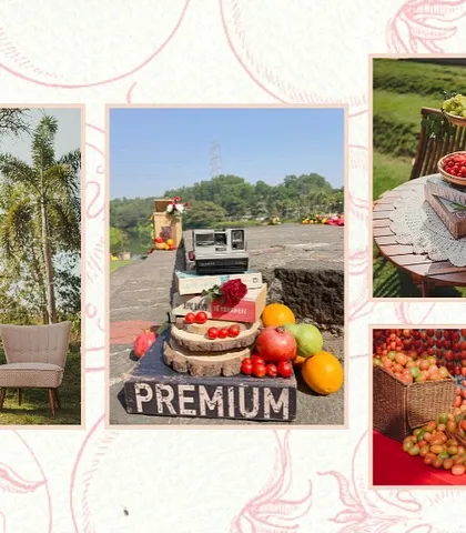 A collage of images from the 'La Tomatina' event, showing various decor elements like heart-shaped tomato balloons, vintage props, and overflowing baskets of tomatoes.
