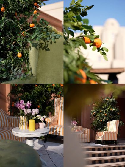 A collage of details from the winter brunch in Agra, showcasing the citrus-themed decor, striped furniture, and beautiful floral arrangements that created a warm and inviting atmosphere.