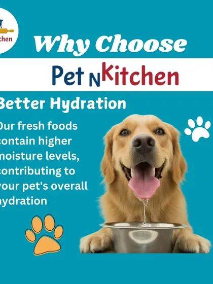Proper hydration is key. Unlike dry kibble, my fresh food contains high moisture levels, which contributes to your pet's overall hydration and supports kidney function, as shown by this happy Golden Retriever.