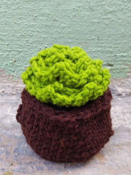 A cute little crochet succulent in a pot. It's the perfect plant for those who don't have a green thumb.