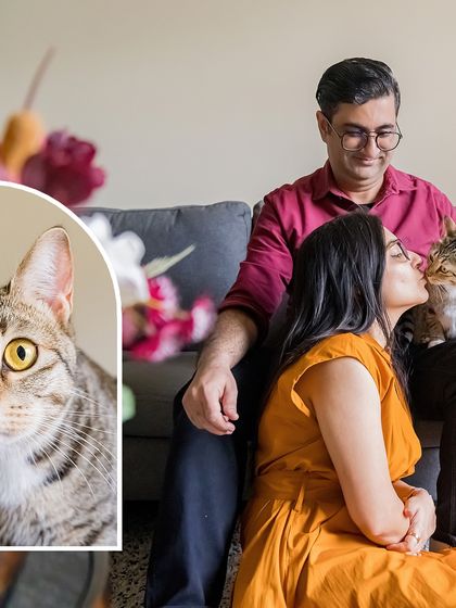 A collage showing Olive the cat with her family. The main image captures a sweet kiss from her mom, while the inset shows her curious expression.