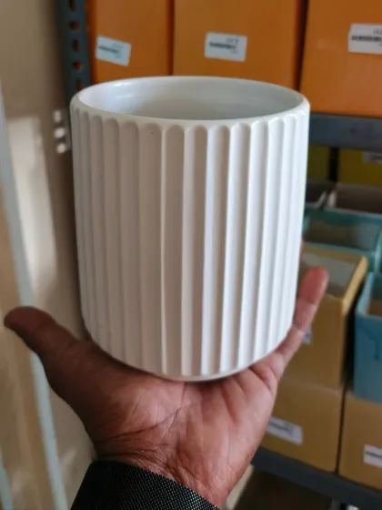 This medium-sized white ceramic pot features a clean, vertical ribbed design. It is a versatile and elegant choice for housing a wide variety of indoor plants.