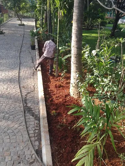 Here, we are enhancing an entry pathway for a farm garden. The process involves preparing the soil along the cobblestone path and adding new plants to create a welcoming and lush entrance, blending seamlessly with the existing trees.