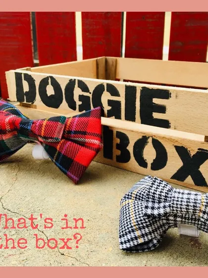 Get your dog looking sharp with our stunning bow ties. This image shows our red plaid and black-and-white houndstooth patterns.
