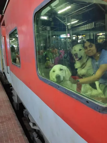 Yes, you can travel with your dogs on Indian Railways. This was a throwback to our first-ever train journey together, a key part of learning how to navigate different modes of transport.