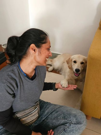 Canine Coach Disha - Dog Socialization & Confidence Building Client Success & Happy Moments photo 22