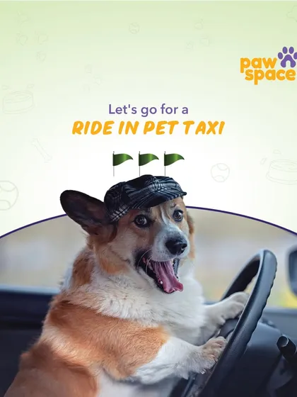 Ready for an adventure? Our pet taxi service is perfect for vet visits, grooming appointments, or just a fun day out. We make getting around Bangalore with your pet easy and enjoyable.