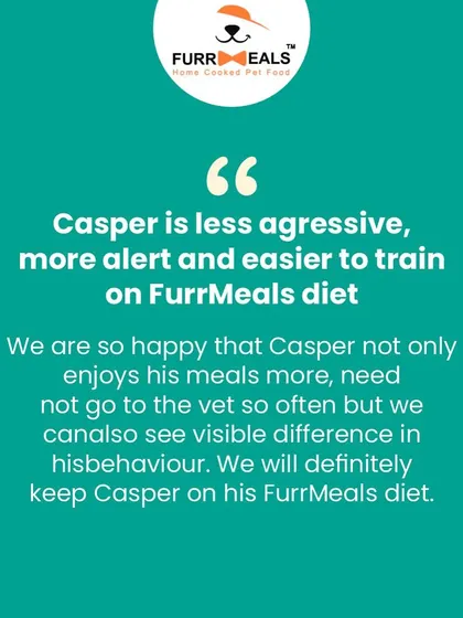 A happy dog and a happy parent are the best rewards. This message from Casper's family shows how a customized diet plan can improve not just physical health, but also behaviour, making dogs less aggressive, more alert, and easier to train.