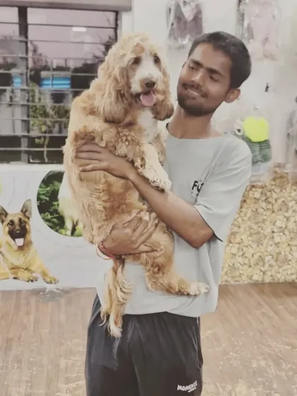 A staff member happily holds a beautiful Cocker Spaniel. We build strong bonds with our guests, making them feel secure and loved during their stay.