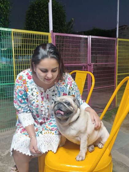 A quiet moment of connection between Manpreet and a guest Pug. We understand that some dogs just want a calm presence and a gentle hand.