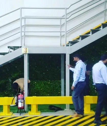 Here you can see my team during the installation process for the staircase green wall. We take great care to ensure every panel is perfectly fitted and the system is set up correctly for the plants to thrive.