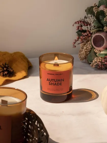A bright, sunlit shot of an autumn-scented candle. The styling with natural elements like a pinecone and dried flowers creates a fresh yet seasonal feel.