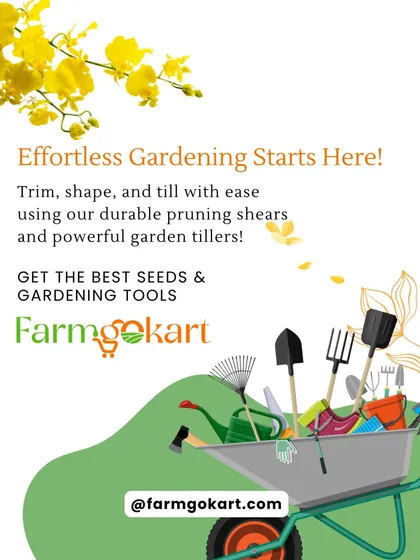 Effortless gardening starts with the right equipment. My durable pruning shears and powerful garden tillers help you trim, shape, and prepare your soil with ease.