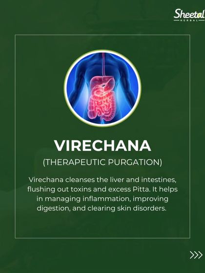 Virechana, or therapeutic purgation, is a cleansing therapy focused on the liver and intestines. This animated graphic shows how Virechana works to flush out toxins and excess Pitta. This process is excellent for managing inflammation, improving digestion, and clearing skin disorders.