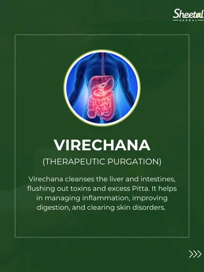 Virechana, or therapeutic purgation, is a cleansing therapy focused on the liver and intestines. This animated graphic shows how Virechana works to flush out toxins and excess Pitta. This process is excellent for managing inflammation, improving digestion, and clearing skin disorders.