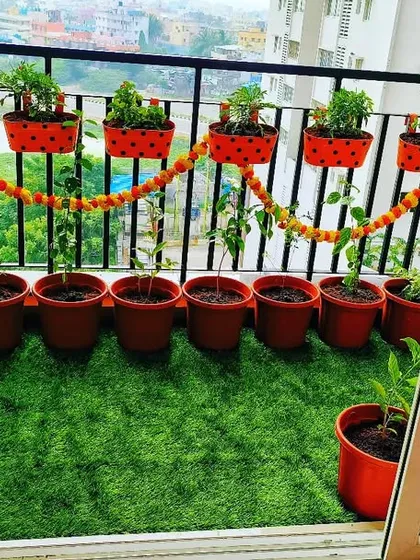 We love adding a festive touch to our gardens. For this balcony, we used vibrant red pots for both the floor and railings, and even added a traditional marigold garland to create a cheerful and welcoming atmosphere.