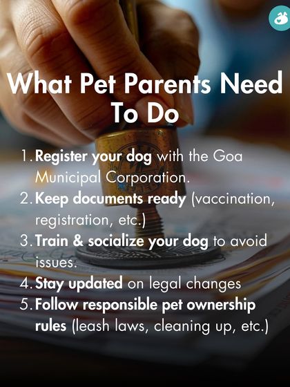 The Pack - Online Pet Parent Community A Voice for Every Dog photo 10