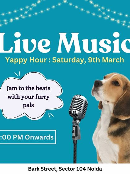 Jam to the beats with your furry pals! Our Yappy Hour live music events are the perfect weekend plan.