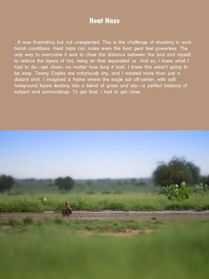 The Art of the Shot: Composition & Creativity photo 11