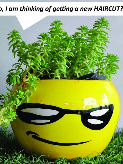 The plant itself can become part of the fun. Here, a spiky succulent gives this emoji-faced planter a wild "haircut," showing how you can get creative with my quirky planter collection.