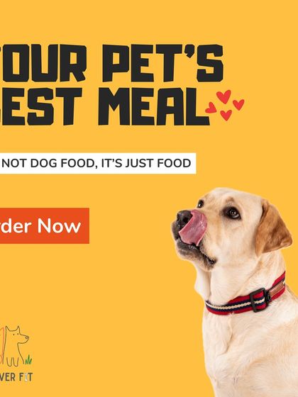 This is my philosophy in a nutshell. The food I make isn't "dog food" filled with things you can't pronounce. It's just real, fresh food, made for your pet.