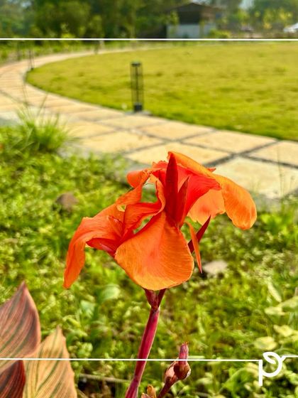 Sprawling Gardens & Farmhouse Landscapes photo 9