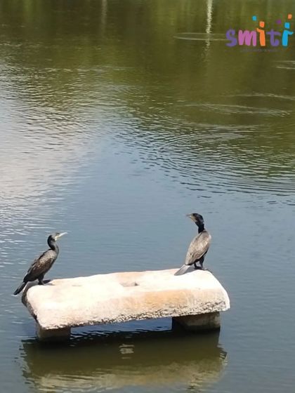 Smiti Montessori - Montessori Preschool Program Learning Beyond Classroom Walls photo 8