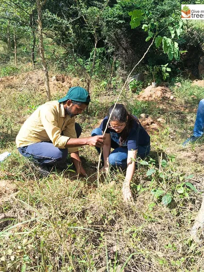 Volunteers at our Jaunapur City Forest site. These images show individuals from the community taking initiative, digging, planting, and learning from our team, embodying the spirit of grassroots environmentalism.