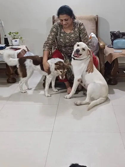 This is more than a business for me, it's my life. Here I am with a couple of my wonderful guests, a gentle Labrador and a sweet Indie mix. I believe in a hands-on approach, giving each dog the personal attention and affection they need to thrive.