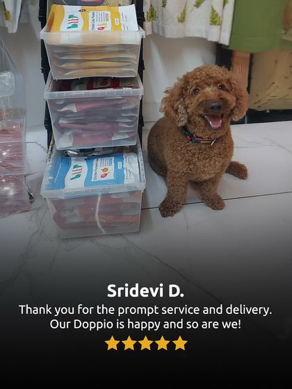Prompt service and a happy dog named Doppio. We're committed to making both pets and their parents happy with our food and our delivery.