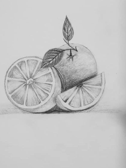 This sketch of oranges is another great exercise for learning to shade spherical objects.
