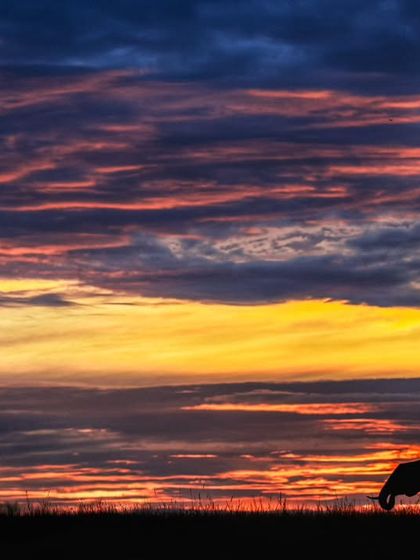 The Art of Seeing: Creative Compositions photo 11