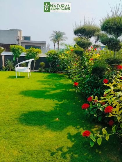 Complete Rooftop & Terrace Makeovers photo 85