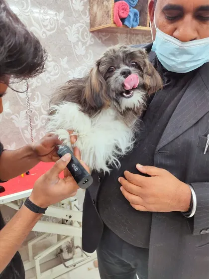 Nail trimming is a crucial part of grooming that requires a steady, gentle hand. I make sure pets feel secure and comfortable, even during tasks they are usually nervous about.