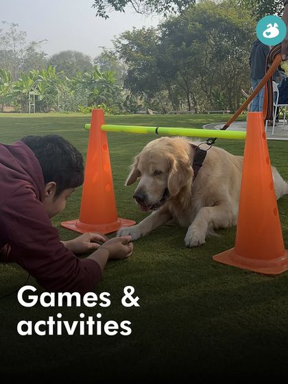 Garima Tomar - Dog Socialization & Group Activities Behind the Scenes: My Life with Dogs photo 38
