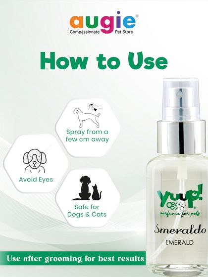 Augie Pets - Pet Grooming Services Finishing Sprays & Perfumes photo 3