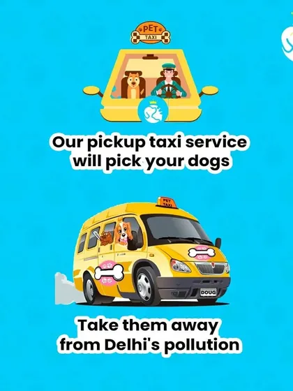 Our pickup taxi service will pick your dogs up and take them away from Delhi's pollution to our serene and fun-filled pet resort.