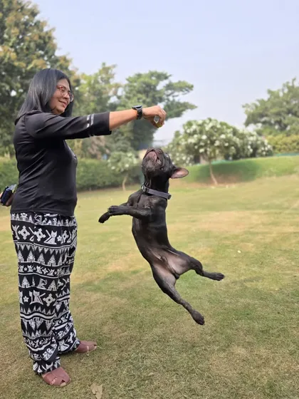 A pet parent joins in the fun. We encourage owners to participate in play sessions, as it strengthens their bond and helps them understand their dog's play style.